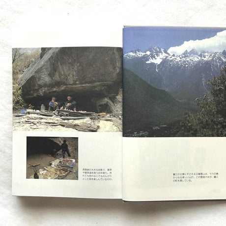めるかと　Book of Markets / 松山猛