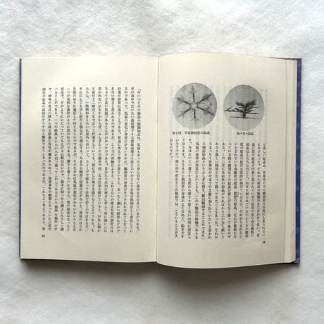 中谷宇吉郎 小伝と科学随筆抄 / 藤岡由夫