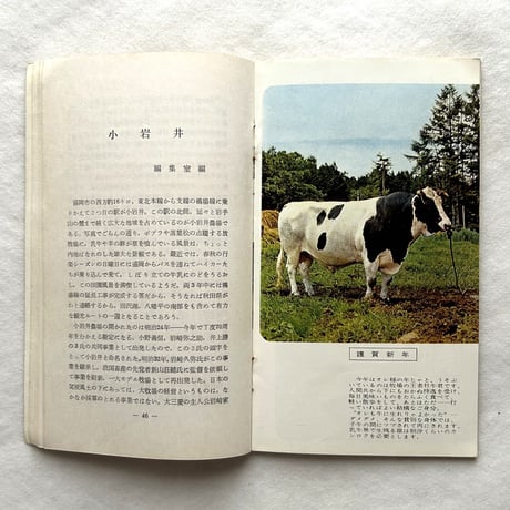 嗜好410  小岩井 / 明治屋