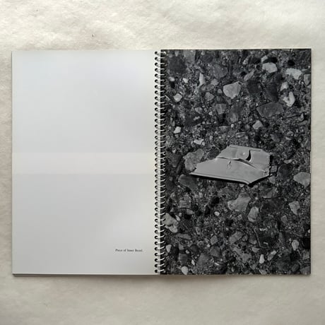 Royal Road Test / ホンマタカシ