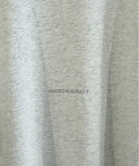 rizotto BIG T【ON A BREAK】※Light Gray
