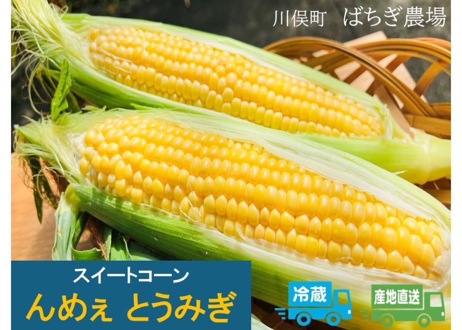 6a6726a7434b9513a4c51db8