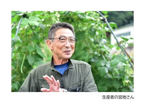 限定!  とうもろこし直送便　「んめぇとうみぎ」　お届け地域限定　ばちぎ農場　【川俣町】