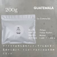 グアテマラ　アンティグア ラ・エスメラルダ農園 イエローブルボン　200g
