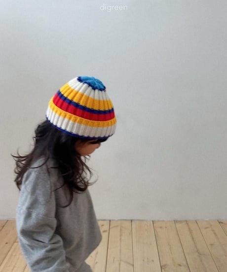 【digreen】Multi Beanie