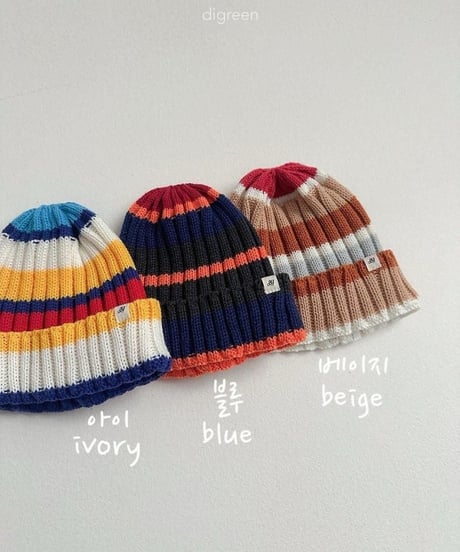 【digreen】Multi Beanie