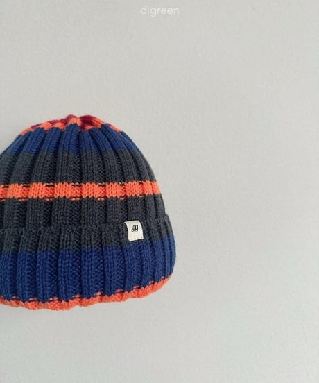 【digreen】Multi Beanie