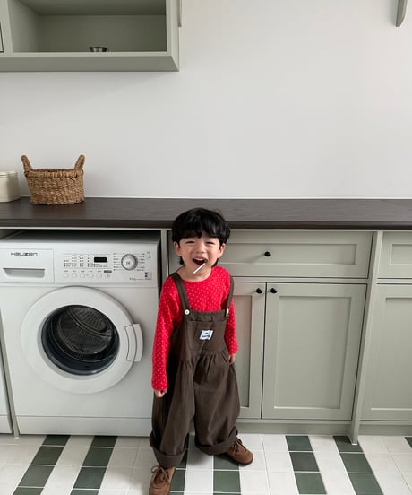 【pie】overall