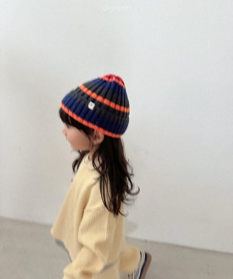 【digreen】Multi Beanie