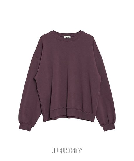 【jejeunosity】Root Sweatshirt