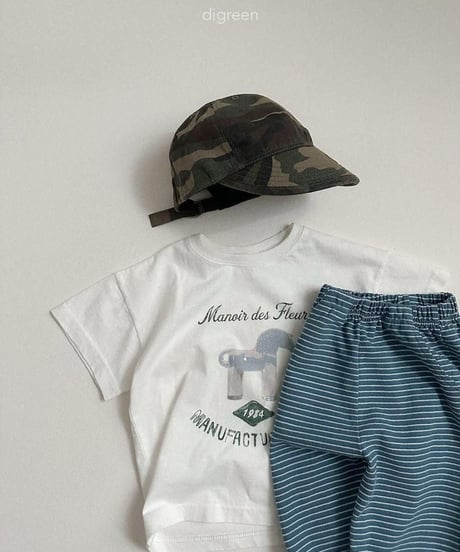 【digreen】Camo Cap
