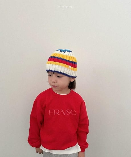 【digreen】Multi Beanie