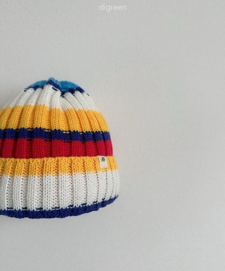 【digreen】Multi Beanie