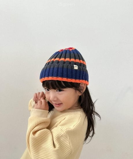 【digreen】Multi Beanie