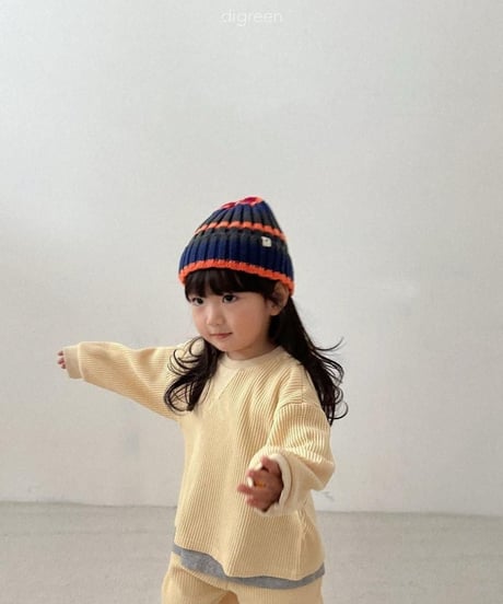 【digreen】Multi Beanie