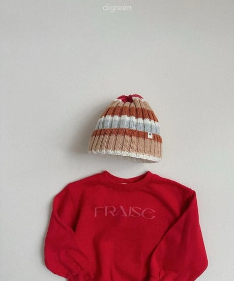 【digreen】Multi Beanie