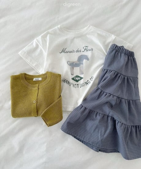 【digreen】Check Cancan Skirt