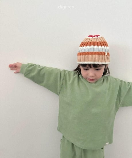 【digreen】Multi Beanie