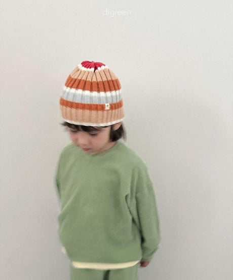 【digreen】Multi Beanie