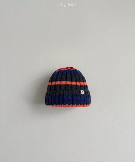【digreen】Multi Beanie