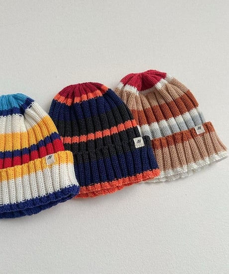 【digreen】Multi Beanie