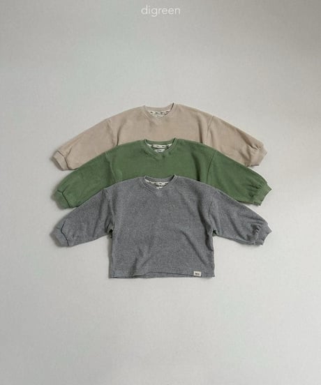 【digreen】Sand Terry Sweatshirt