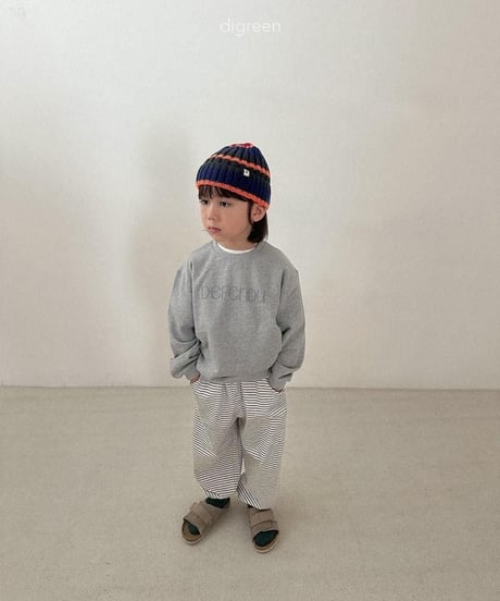 【digreen】Multi Beanie