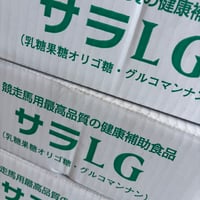 サラLG-1か月-に一度の定期便【サラLG3箱】 30000円（送料込）
