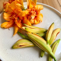 金針菜（ヤブカンゾウの蕾）100g