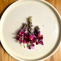 葛の花　100g（15房ほどです）