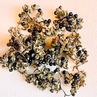 烏山椒の実（ドライ）10g