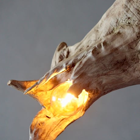 3bulbs Roots pendant light