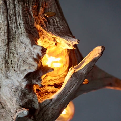 3bulbs Roots pendant light