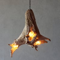 3bulbs Roots pendant light