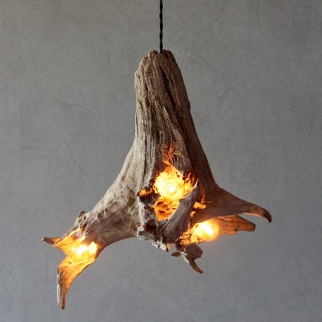 3bulbs Roots pendant light