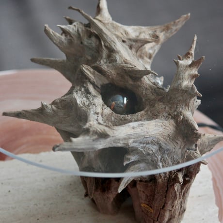 Driftwood display table light#2