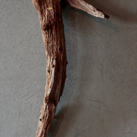 Driftwood hanging flowervase#1
