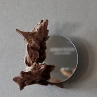 Driftwood hanging mirror