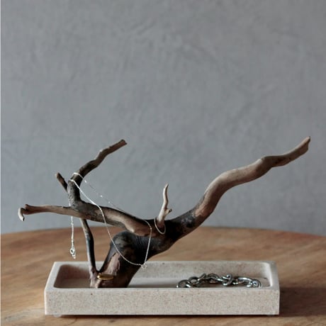 Accessory tray#2