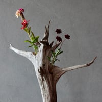 Driftwood flower vase#7