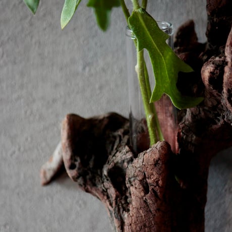 Driftwood hanging flowervase#2