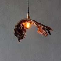 driftwood curved shade pendant  light