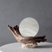 Driftwood stand mirror
