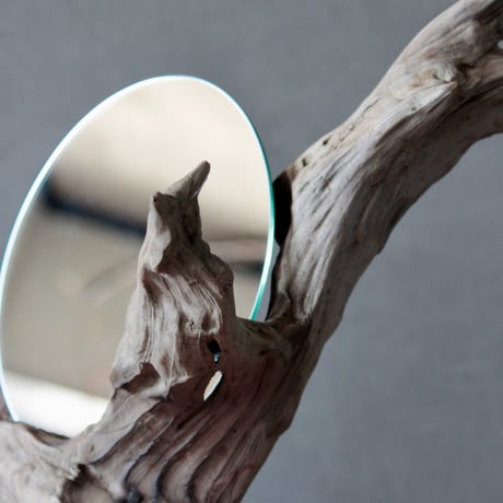 Driftwood stand mirror#2