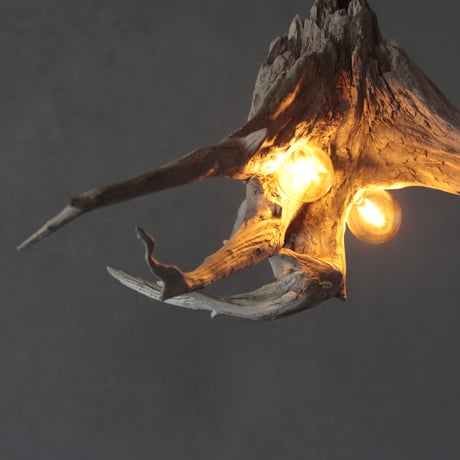 2bulbs Roots pendant light