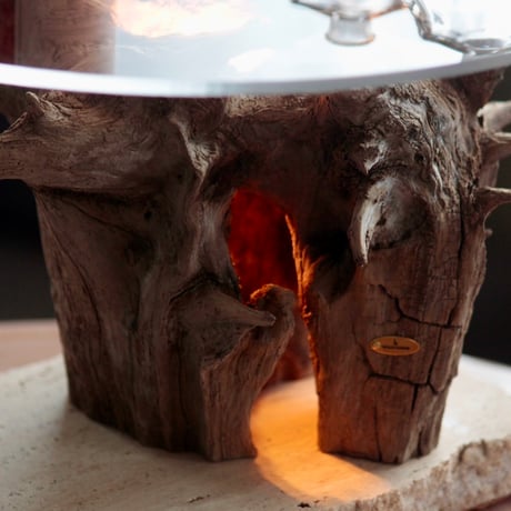 Driftwood display table light#2