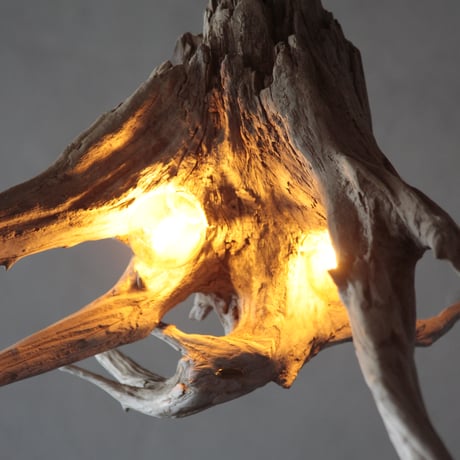 2bulbs Roots pendant light
