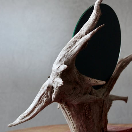 Driftwood stand mirror#1