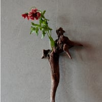 Driftwood hanging flowervase#2