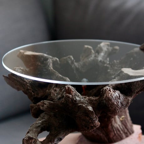 Driftwood display table light